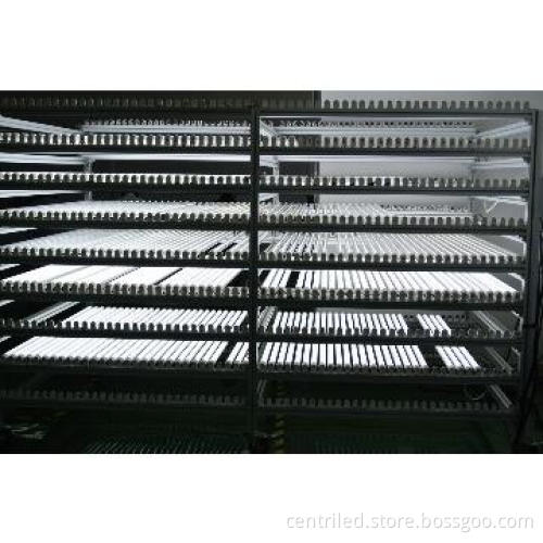 High quality Clear LED Tube Light T8 1200mm with Isolated Driver